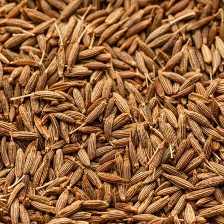 Cumin BIO – Image 4