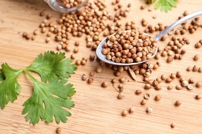 Coriandre Fraiche Ou En Poudre Nomie