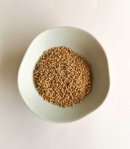 Graines de Moutarde BIO