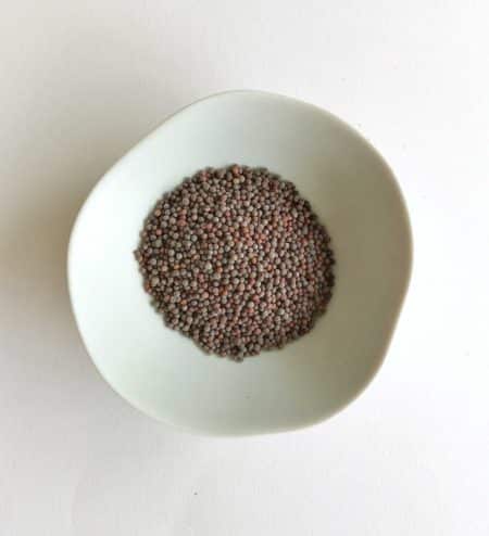 Graines de Moutarde BIO – Image 2